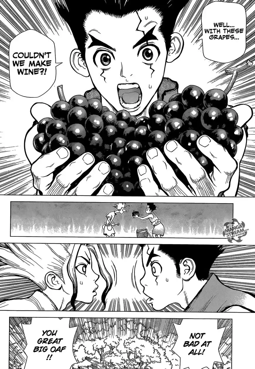 Dr. Stone Chapter 2 13